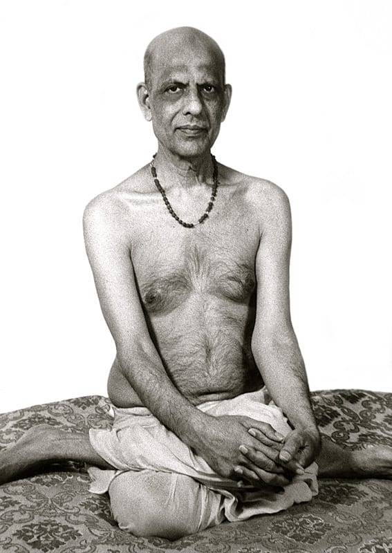 Swami Kripalvananda (Swami Kripalu) at Yogi Shanti Desai's Group Tour