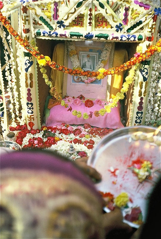 Mahasamadhi 1981. Celebration of Bapuji's (Swami Kripalvananda's, Swami Kripalu's) Life