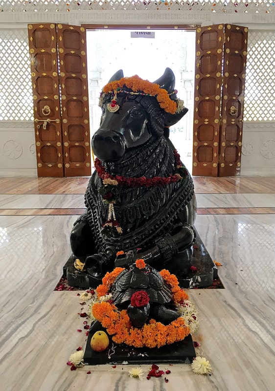 Prana Pratishtha 2016. Nandi, the sacred bull, and Kurma, the sacred tortoise.
