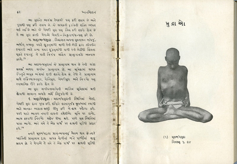 Selection of Books and Writings of Swami Kripalvananda (Swami Kripalu).