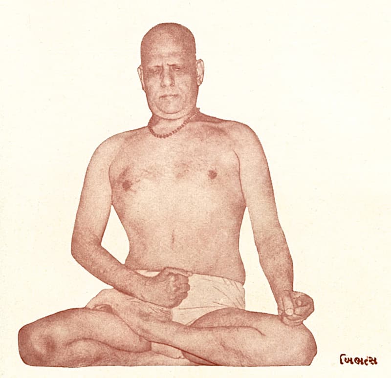 Vandana Book – Commemorative book of Swami Kripalvananda's life.